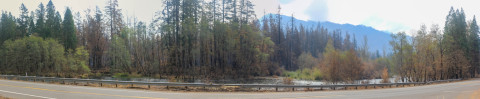 Holiday Farm Fire 2020
