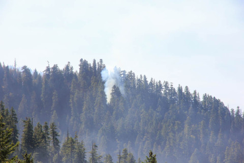 Holiday Farm Fire 2020