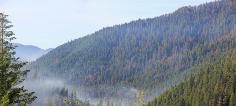 Holiday Farm Fire 2020