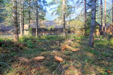 Holiday Farm Fire 2020