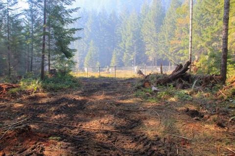 Holiday Farm Fire 2020