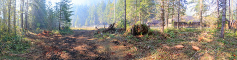 Holiday Farm Fire 2020