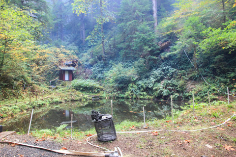 Watershed 2 Post Fire October 2020