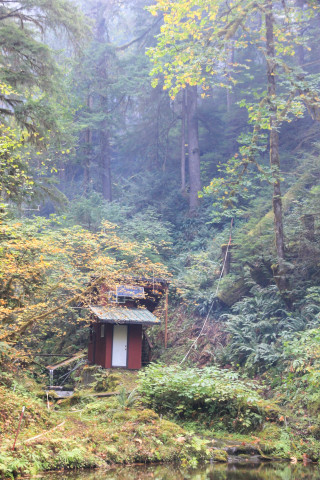 Watershed 2 Post Fire October 2020