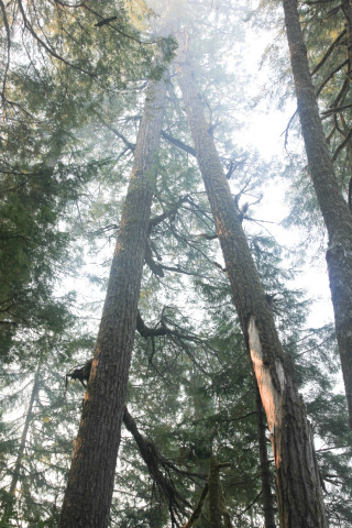 Watershed 2 Post Fire October 2020