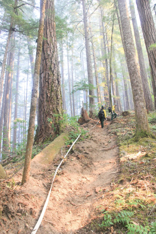 Watershed 2 Post Fire October 2020