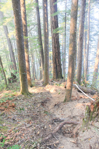 Watershed 2 Post Fire October 2020