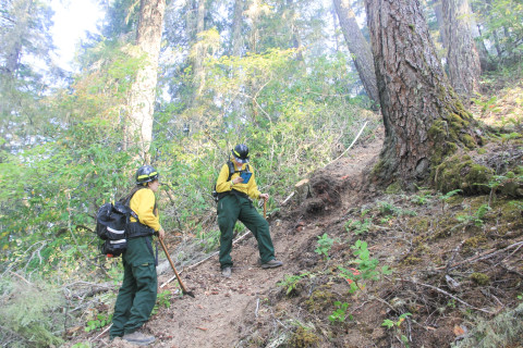 Watershed 2 Post Fire October 2020