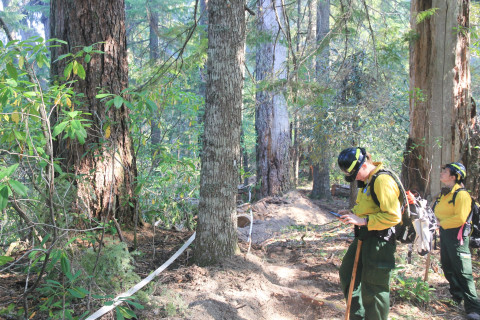 Watershed 2 Post Fire October 2020