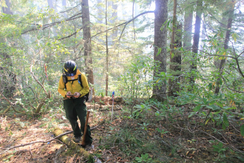 Watershed 2 Post Fire October 2020