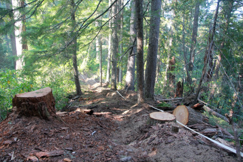 Watershed 2 Post Fire October 2020