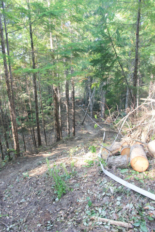 Watershed 2 Post Fire October 2020