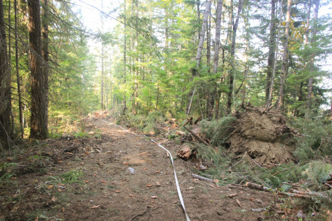 Watershed 2 Post Fire October 2020