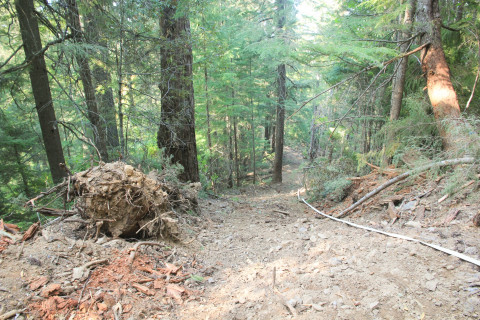Watershed 2 Post Fire October 2020