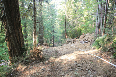Watershed 2 Post Fire October 2020