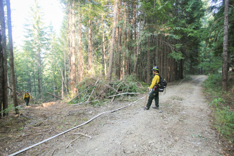 Watershed 2 Post Fire October 2020
