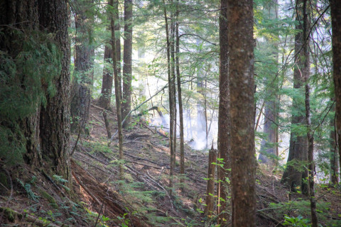 Watershed 2 Post Fire October 2020