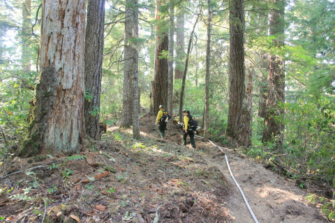 Watershed 2 Post Fire October 2020