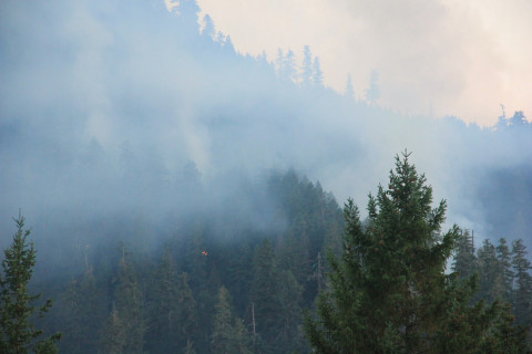 Watershed 2 Post Fire October 2020