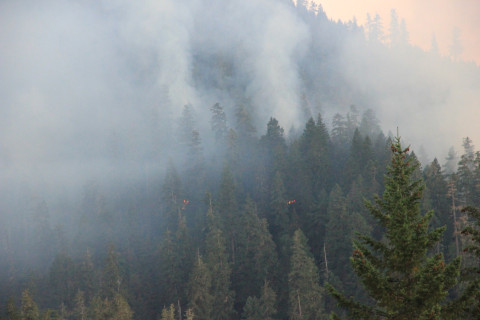 Watershed 2 Post Fire October 2020