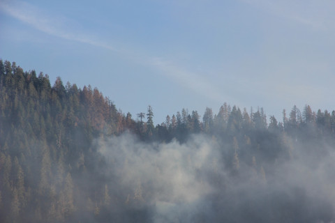 Watershed 2 Post Fire October 2020