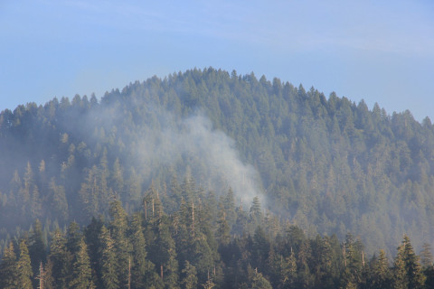 Watershed 2 Post Fire October 2020