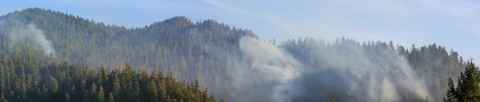 Watershed 2 Post Fire October 2020