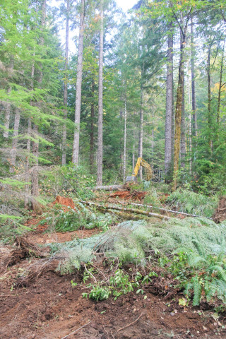 Watershed 2 Post Fire October 2020