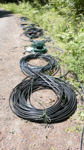 Drought Experiment