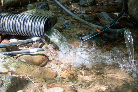Drought Experiment