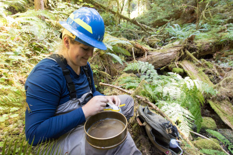 Stream Invertebrate Sampling 2021