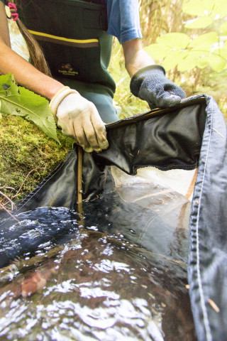 Streamwater flows into the Surber sampler which catches stream invertebrates