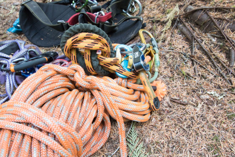 Canopy Ecology Field Work 2021