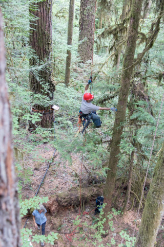 Canopy Ecology Field Work 2021