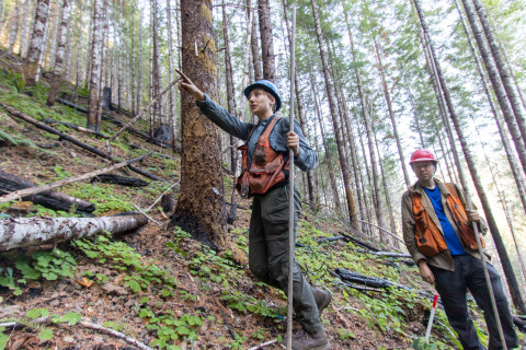 Post-fire vegetation survey WS1 2021