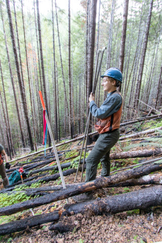 Post-fire vegetation survey WS1 2021