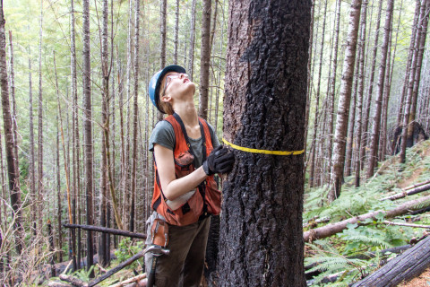 Post-fire vegetation survey WS1 2021
