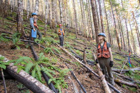 Post-fire vegetation survey WS1 2021