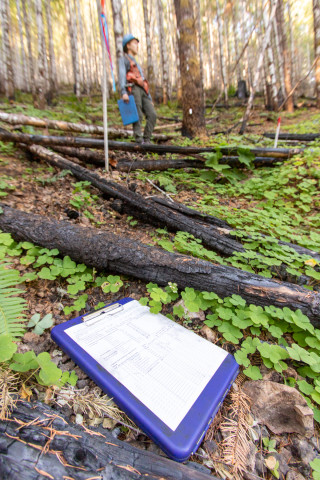 Post-fire vegetation survey WS1 2021