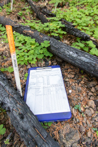 Post-fire vegetation survey WS1 2021