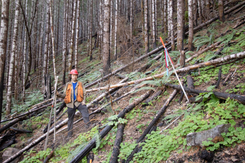Post-fire vegetation survey WS1 2021