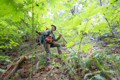Post-fire vegetation survey WS1 2021