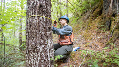 Post-fire vegetation survey WS1 2021