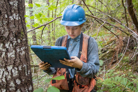 Post-fire vegetation survey WS1 2021