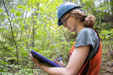 Post-fire vegetation survey WS1 2021