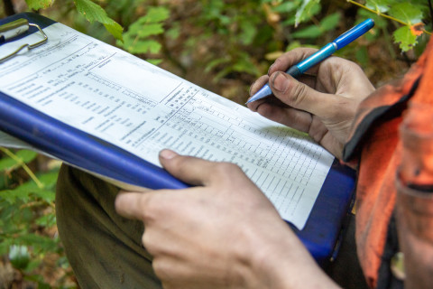 Post-fire vegetation survey WS1 2021