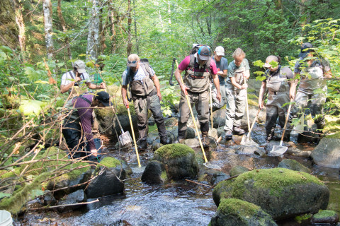 Mack Creek Vertebrates Study 2021