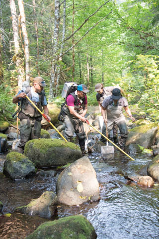 Mack Creek Vertebrates Study 2021
