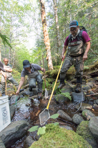 Mack Creek Vertebrates Study 2021