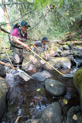 Mack Creek Vertebrates Study 2021